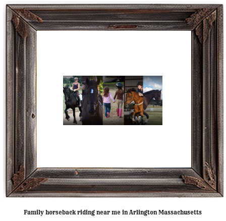 family horseback riding near me in Arlington, Massachusetts